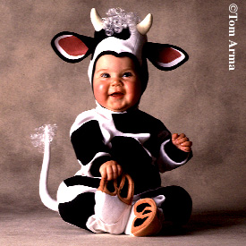 bebe vache